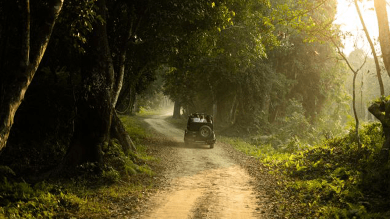 sitcabs-corebett-manali (1)